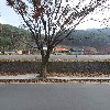 치악산플라워펜션민박식당_3