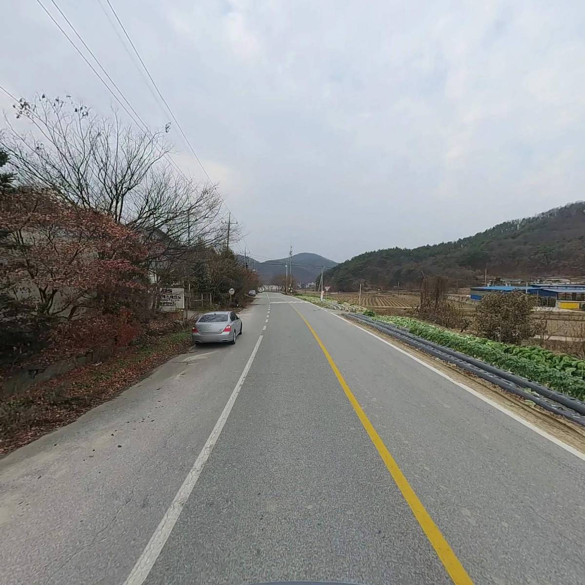 뉴카리온주식회사_2