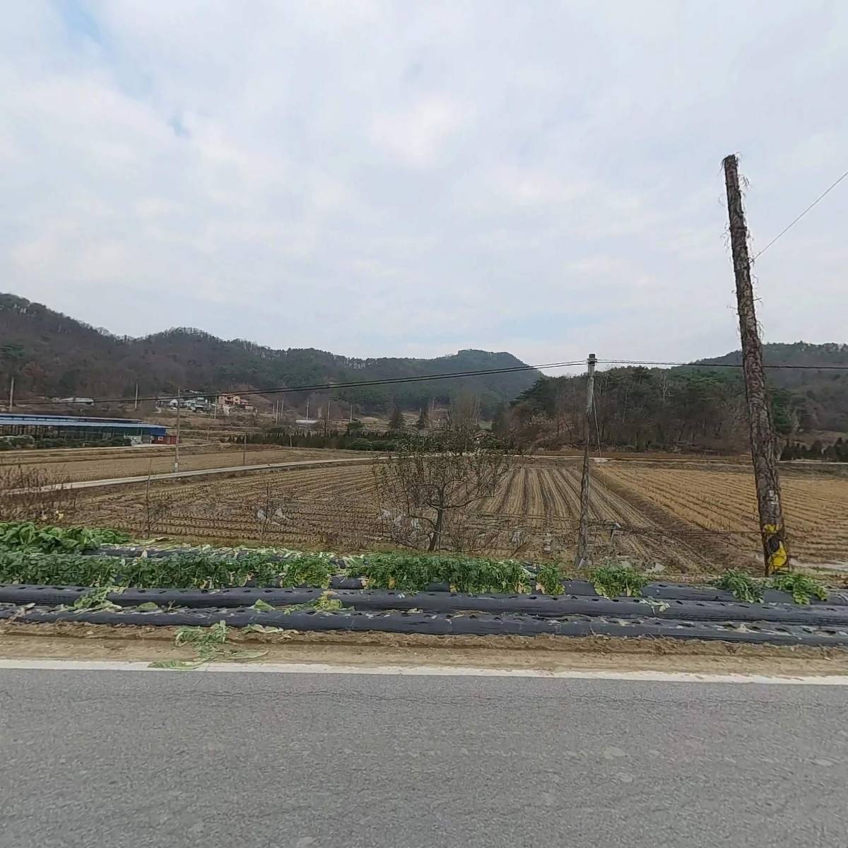 뉴카리온주식회사_3