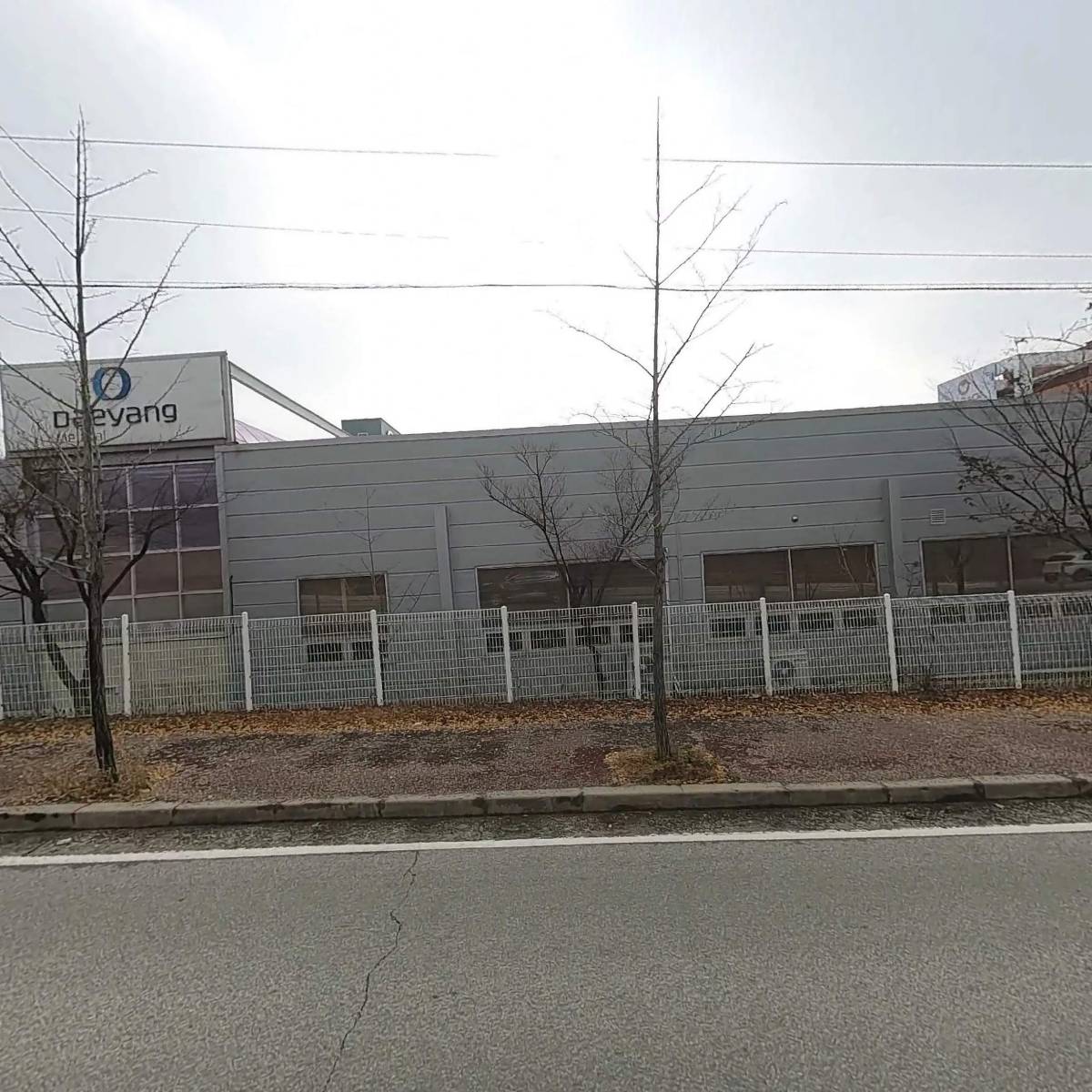 대양의료기(주)