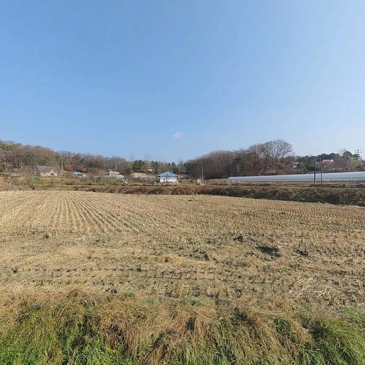 (주)표준