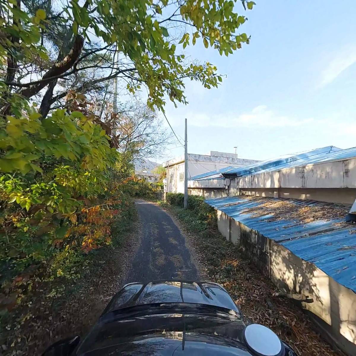 선애밥_4