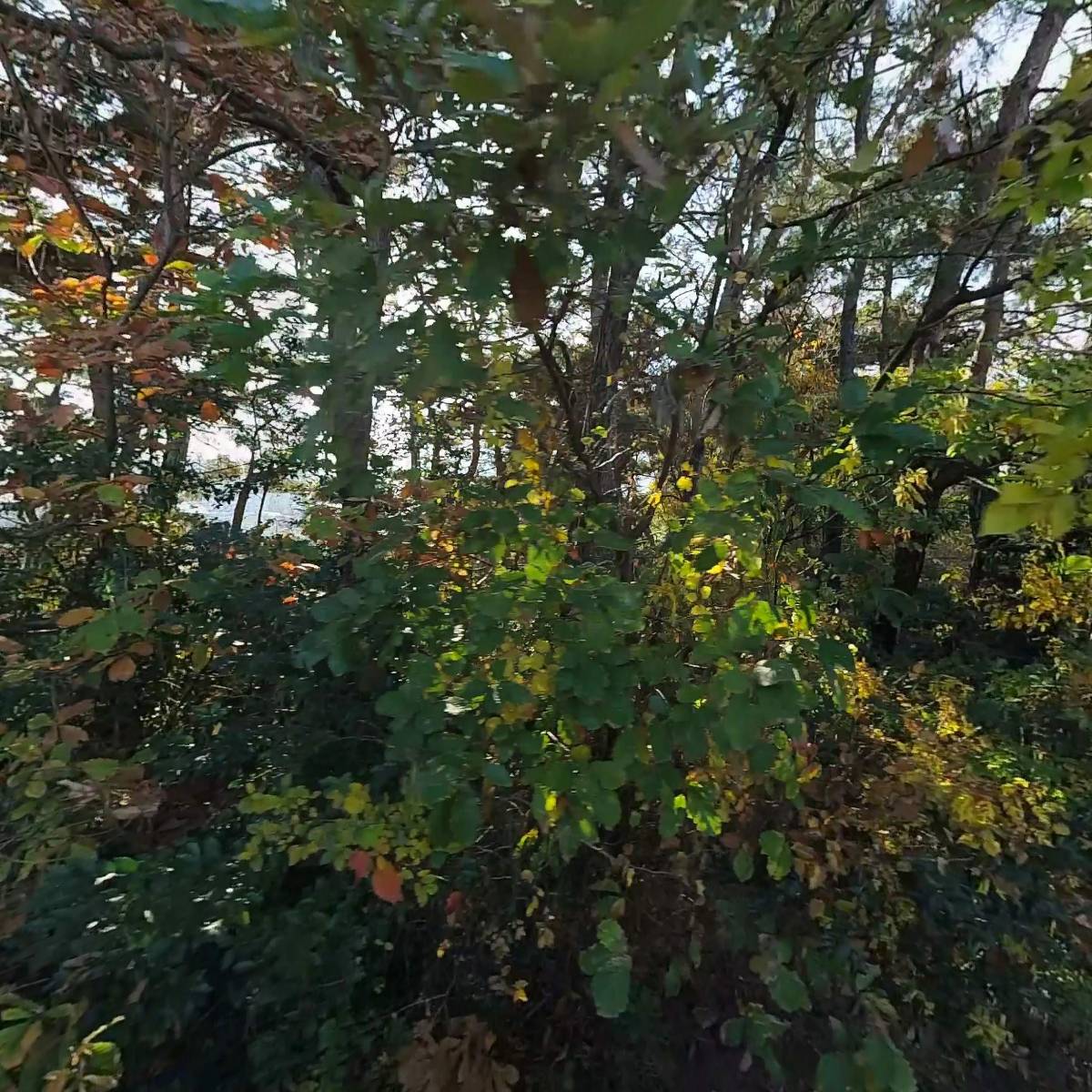 선애밥_3