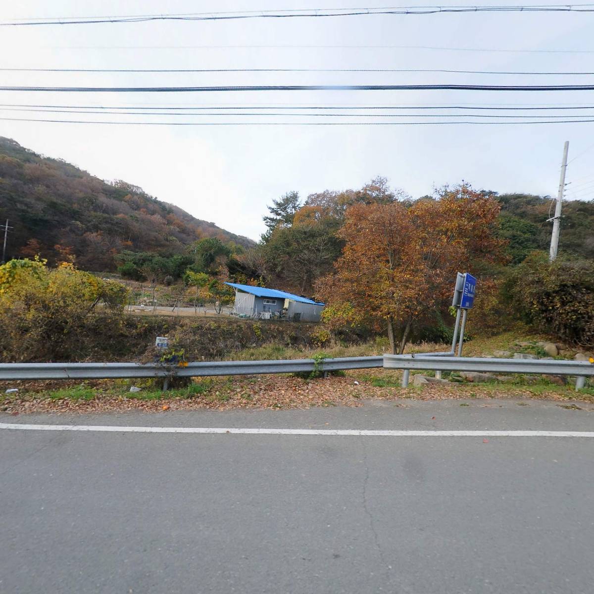 장기농장미보축산_3