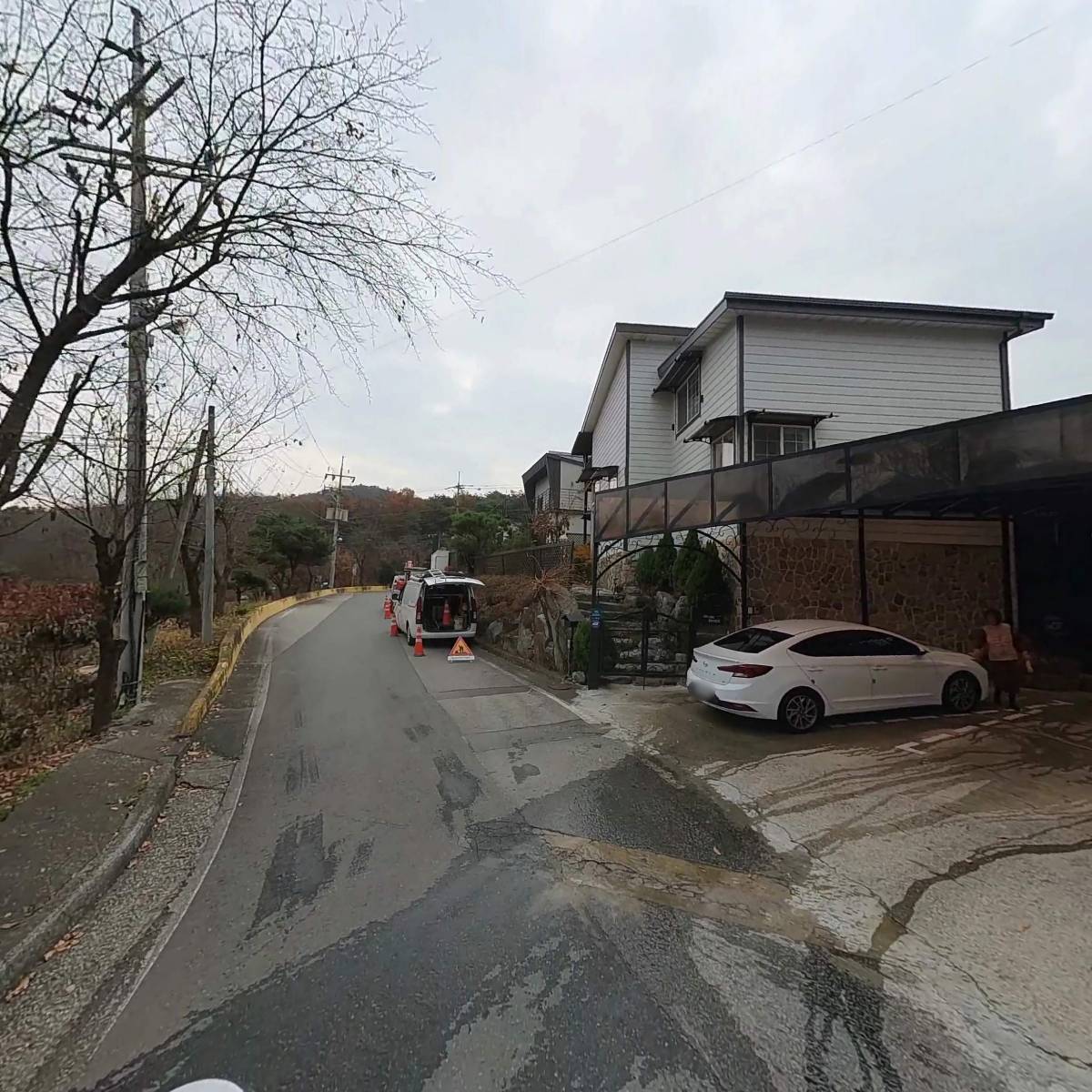 평창 산머루_2