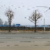 농촌진흥청국립식량과학원춘천출장소_3