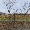 (주)대성에코텍_3