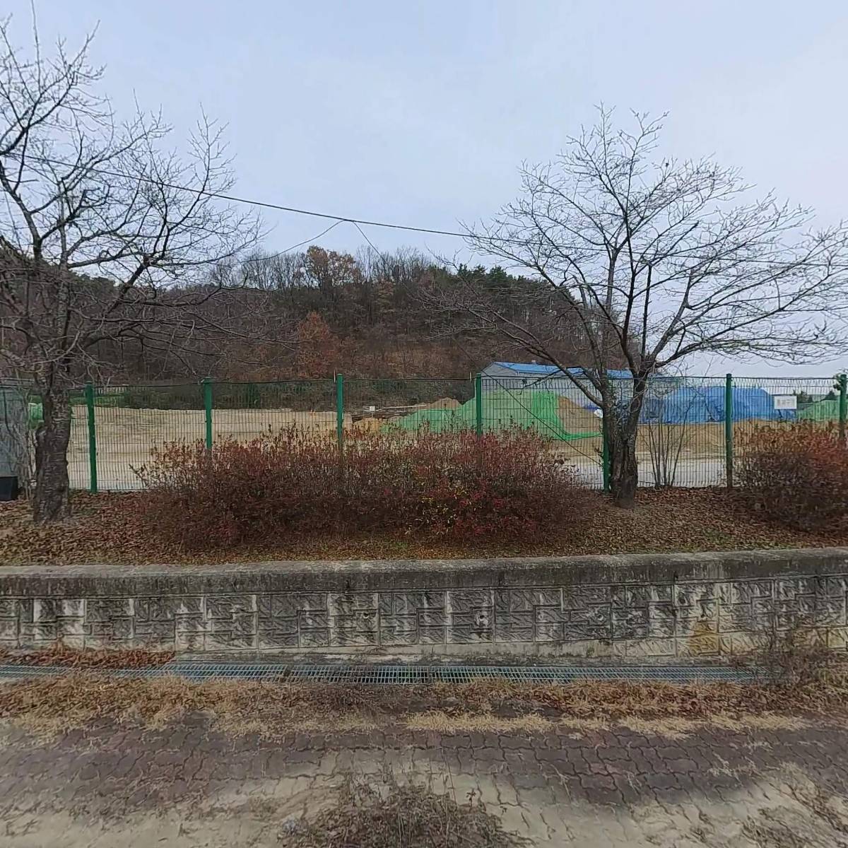 고려모터스