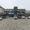 우디트(WOODYT)