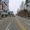 강원특별자치도장애인아이스하키협회_2