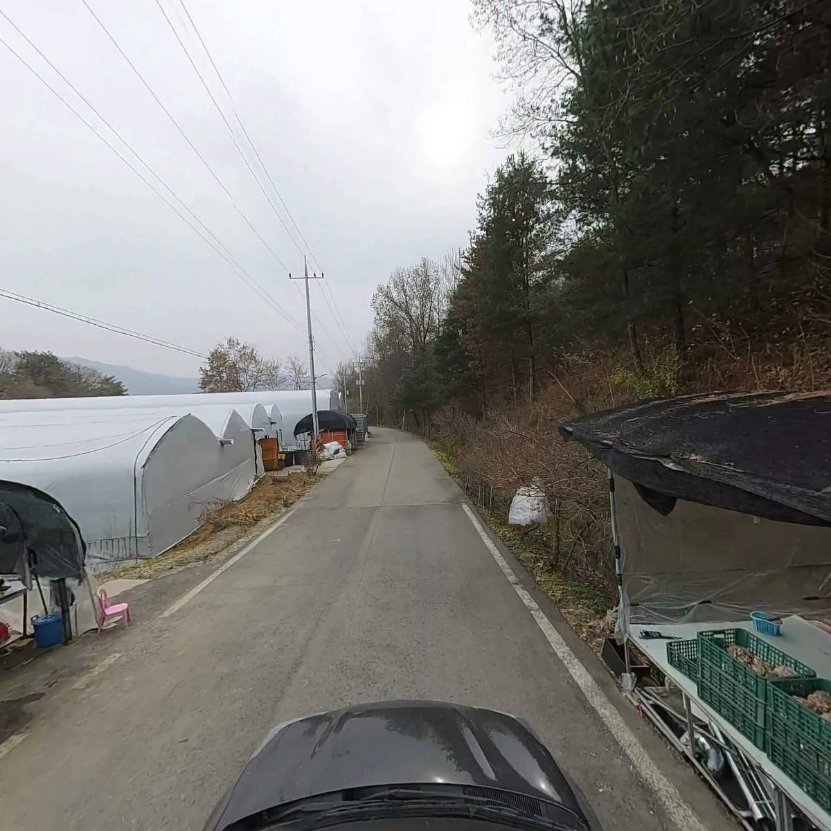 소양강버섯영농조합법인_4
