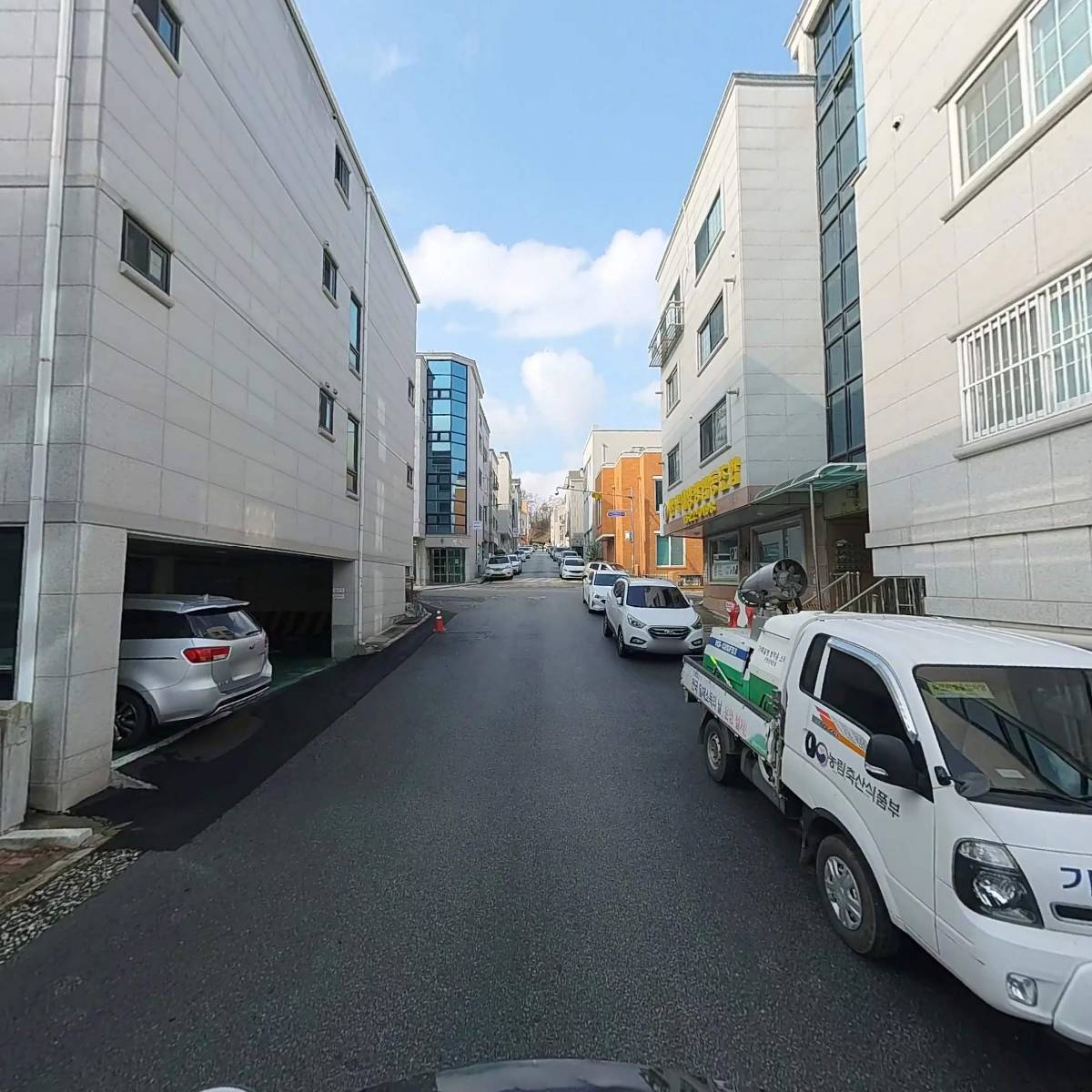 세준약품_2