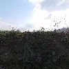 소담김치_3