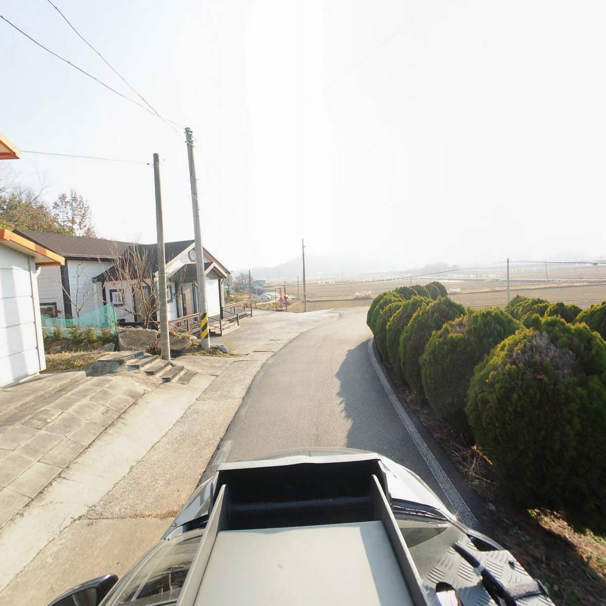 앉은뱅이소곡주_4
