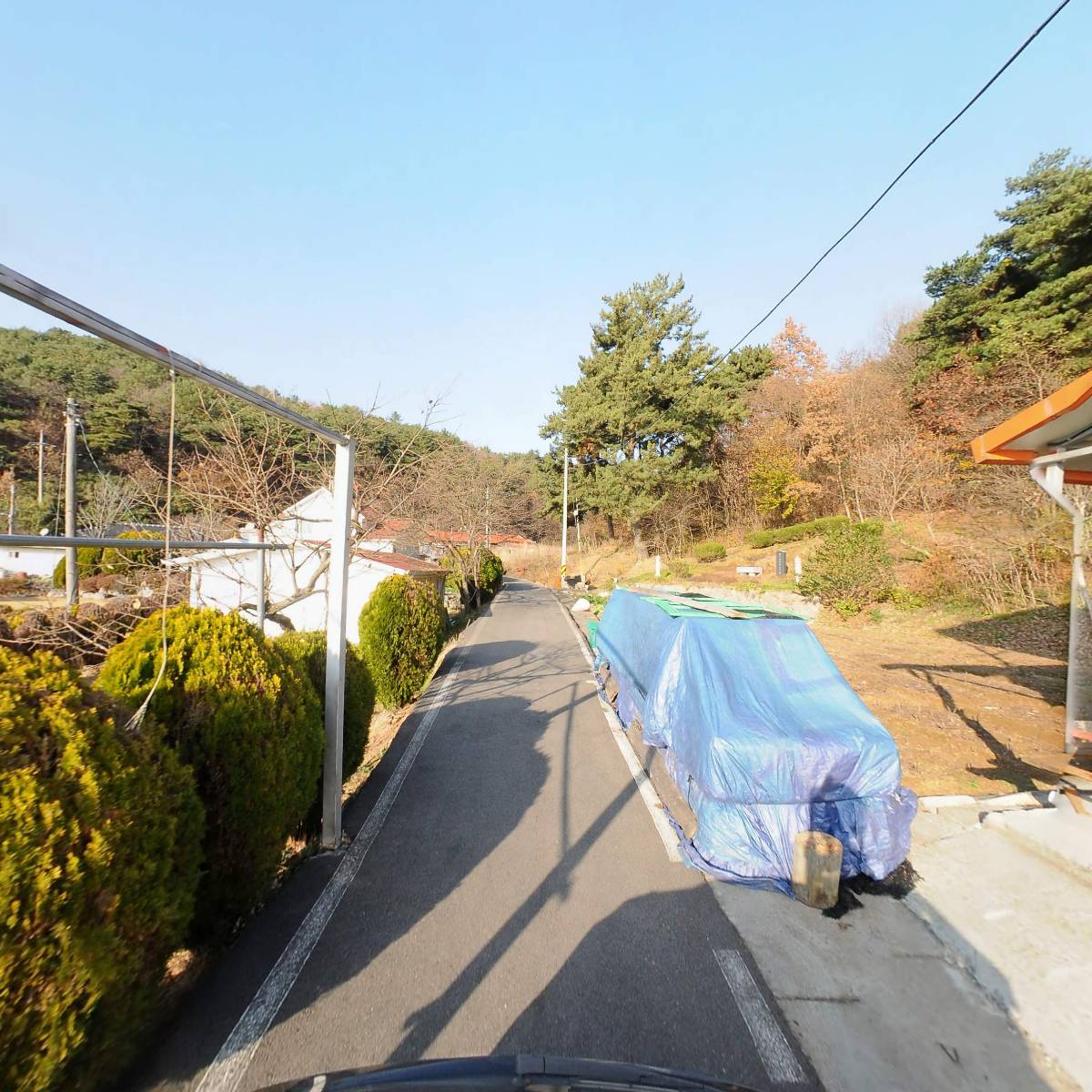 앉은뱅이소곡주_2
