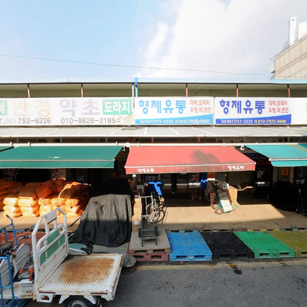 대일약업사