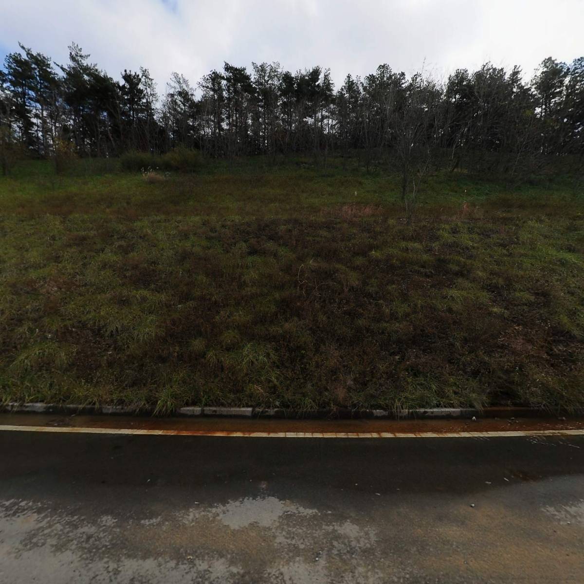 (주)비지에프리테일 포항지점_3