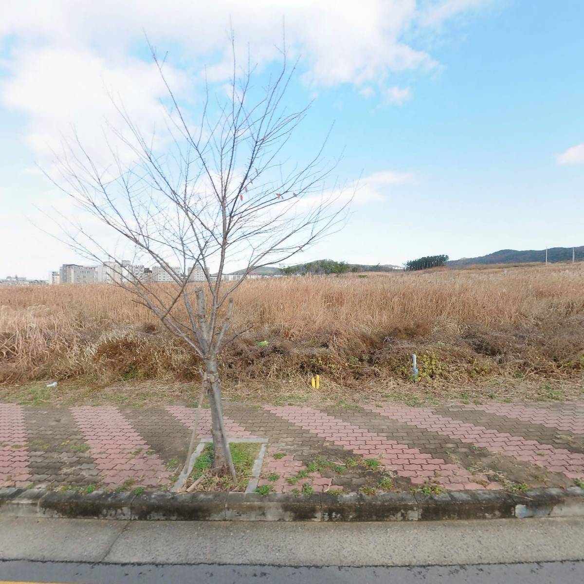 （주）서번텍 포항지점