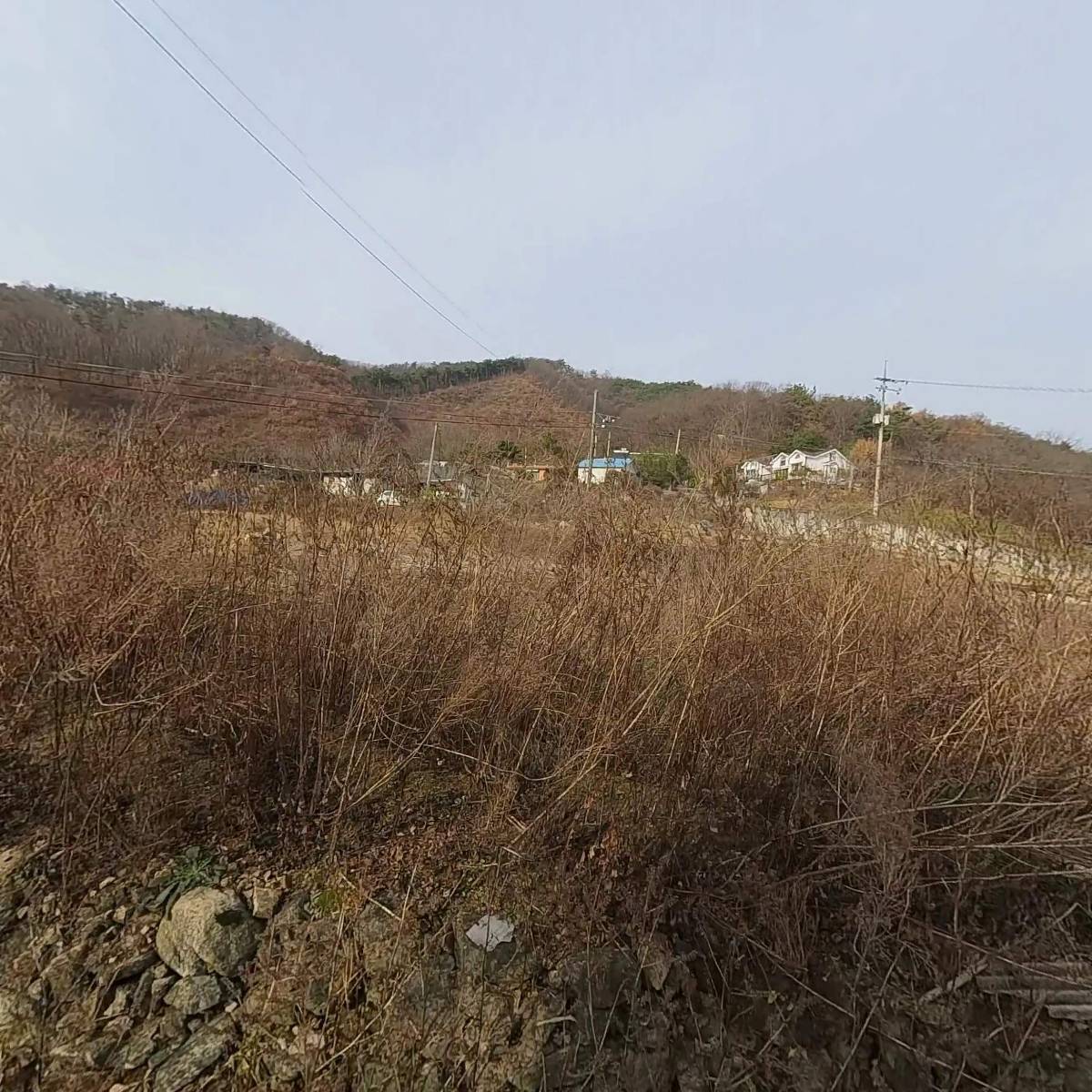 대한불교천왕사_3