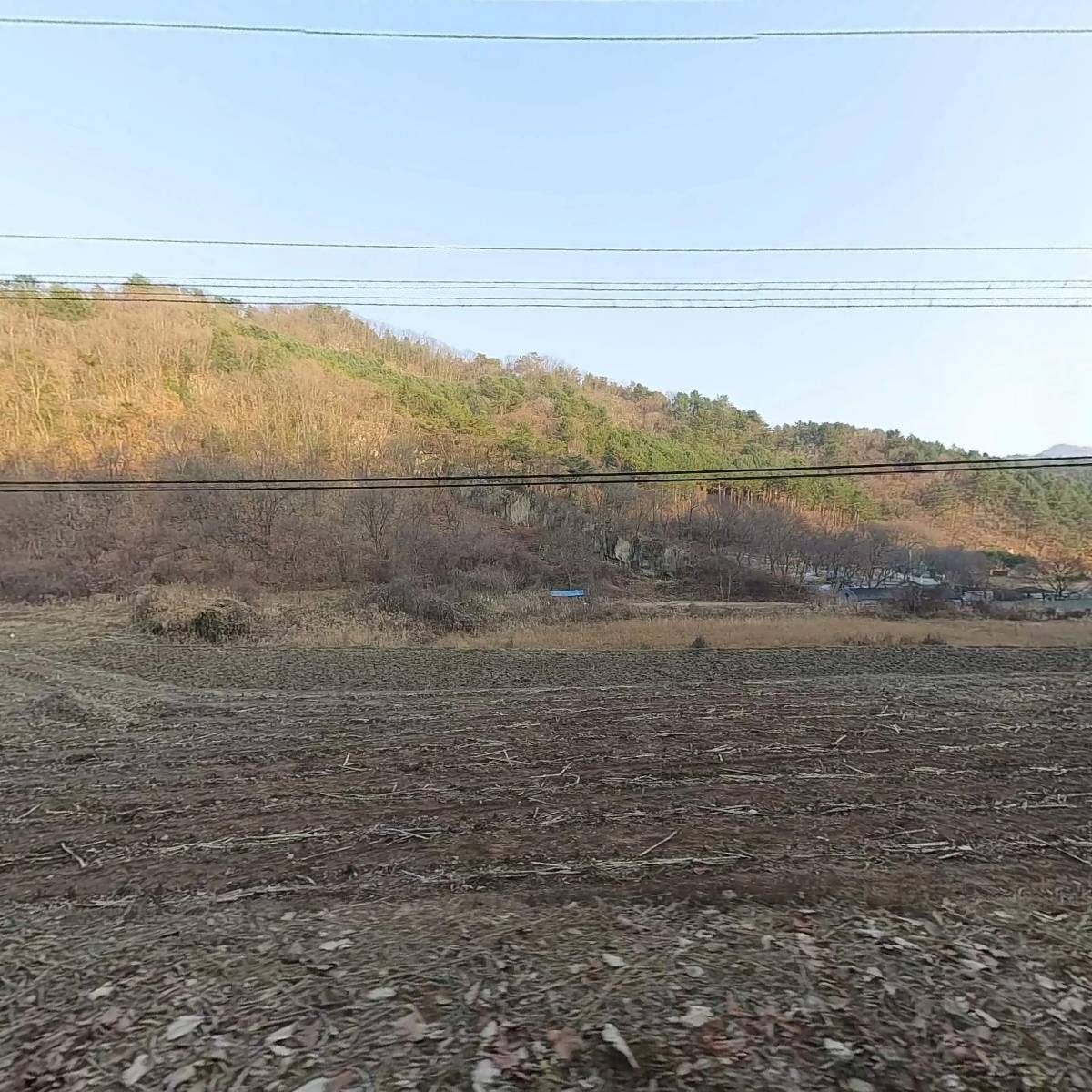 산골소년
