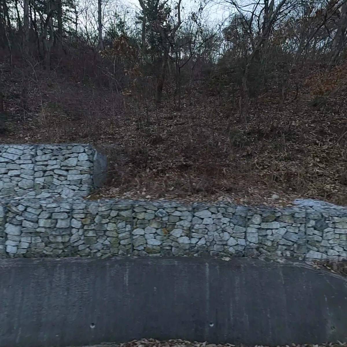 산골소년_3
