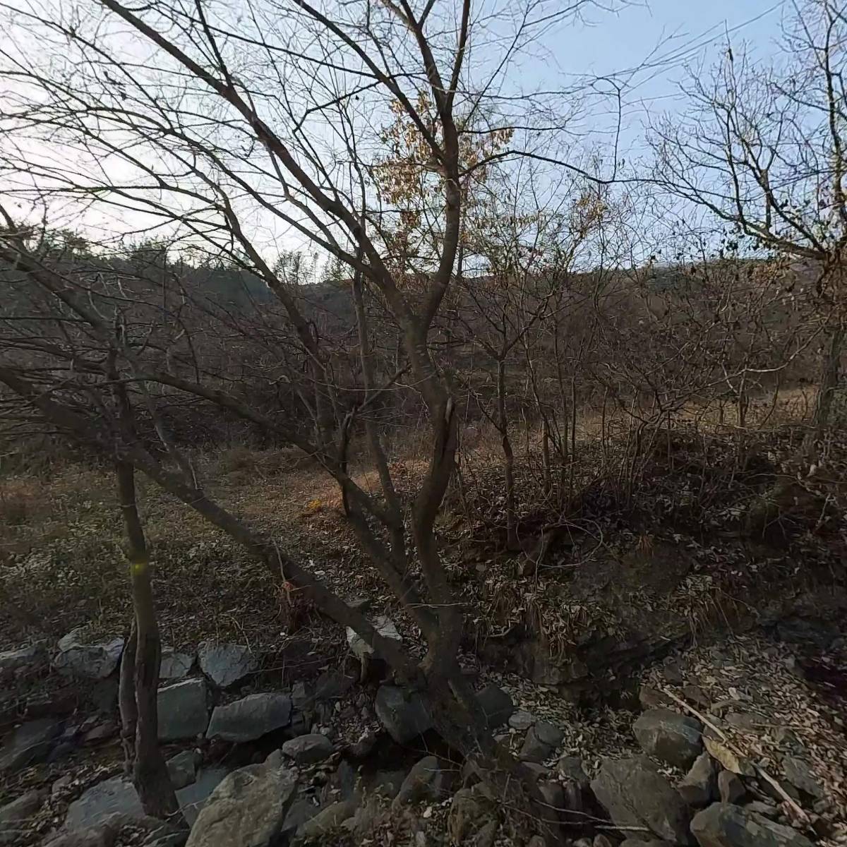 (사) 천사보금자리 글로벌 교육문화재단_3