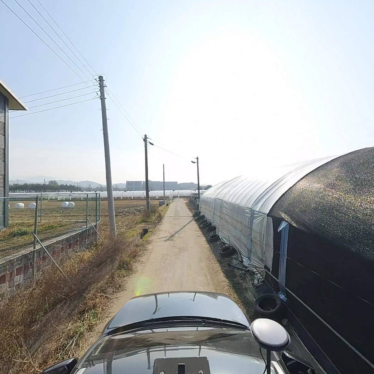 세월교수출작목반_4