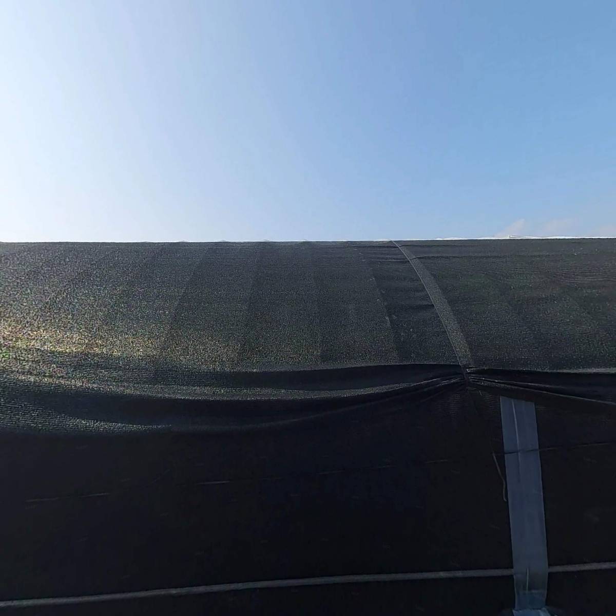 세월교수출작목반