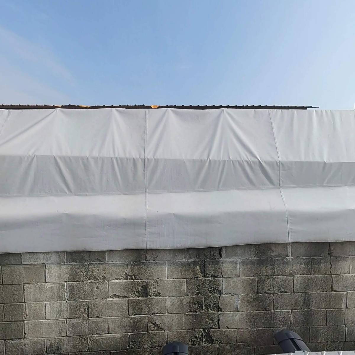 （사）한국야생동물보호협회춘천시지부_3