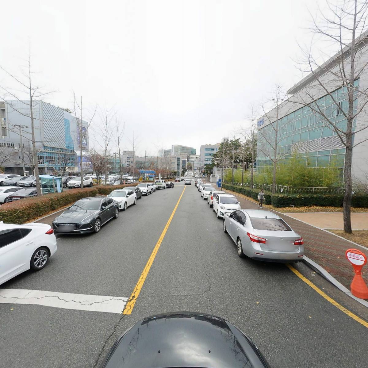 포항시청_4