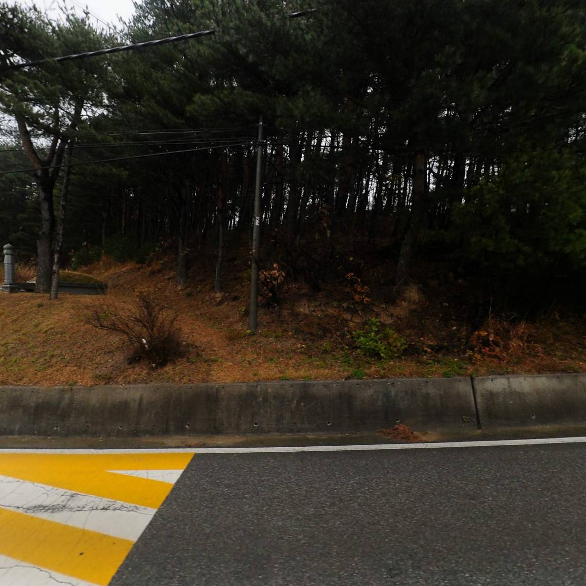 피트스탑（PIT STOP）_3