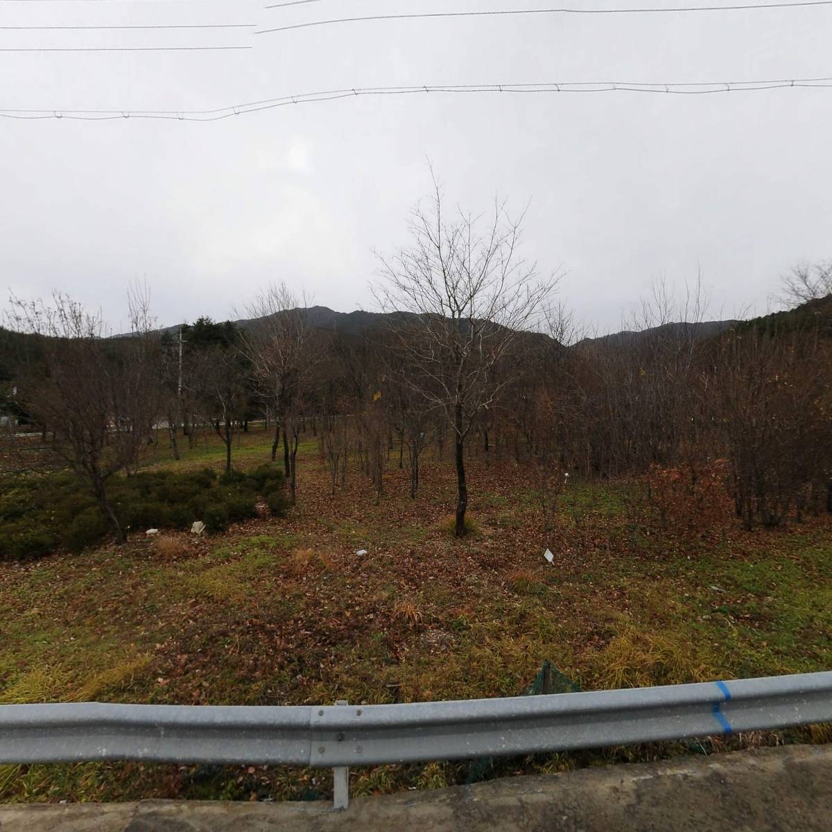 사)대한불교 천무종 정인정사_3