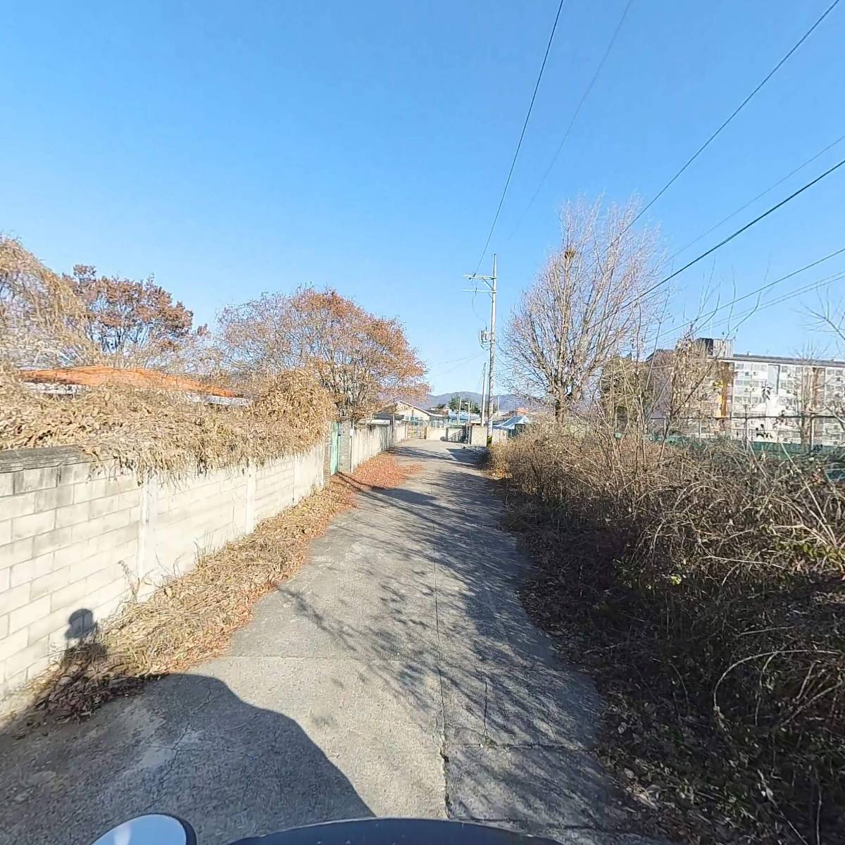 온이네_2