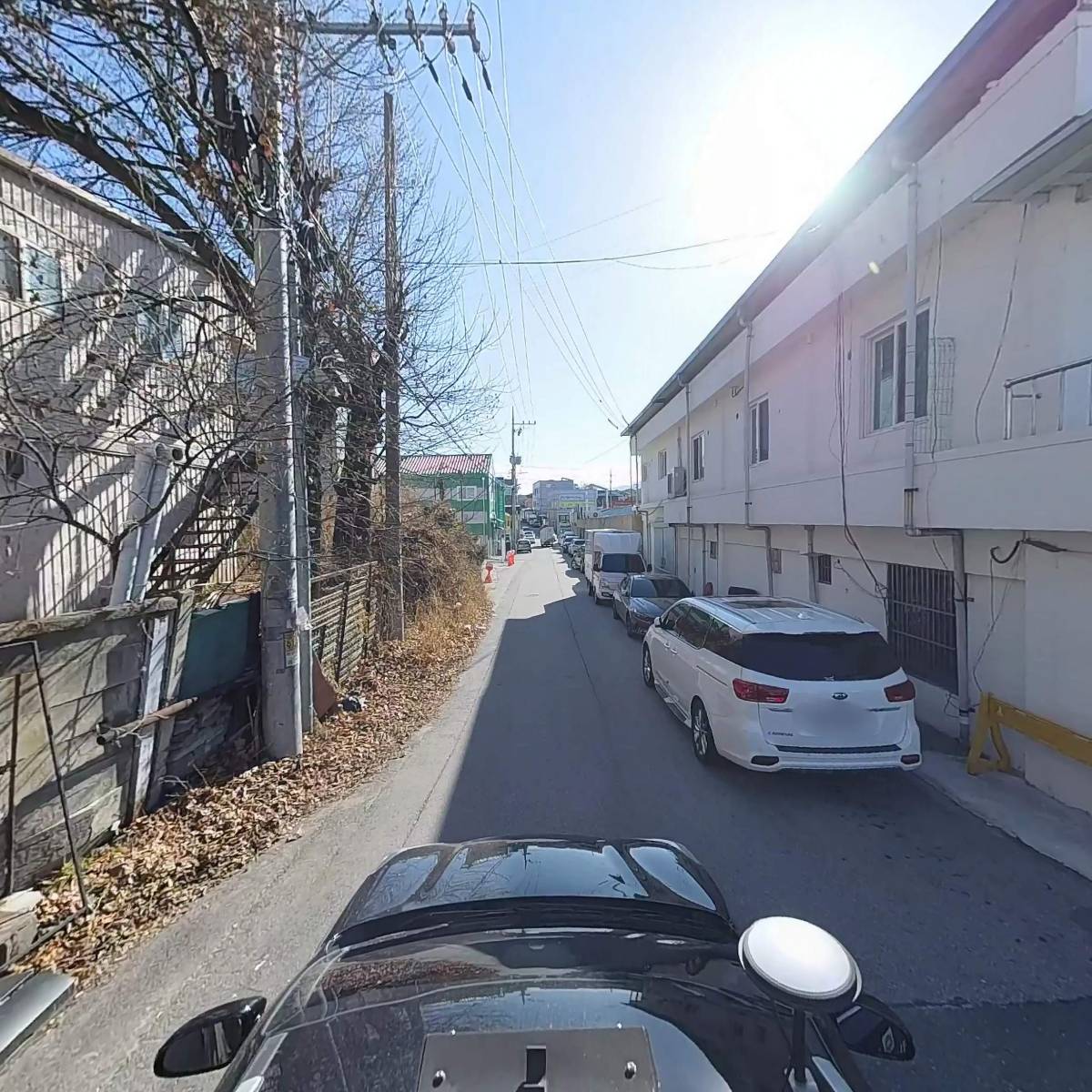 뜰안에돼지부속_4