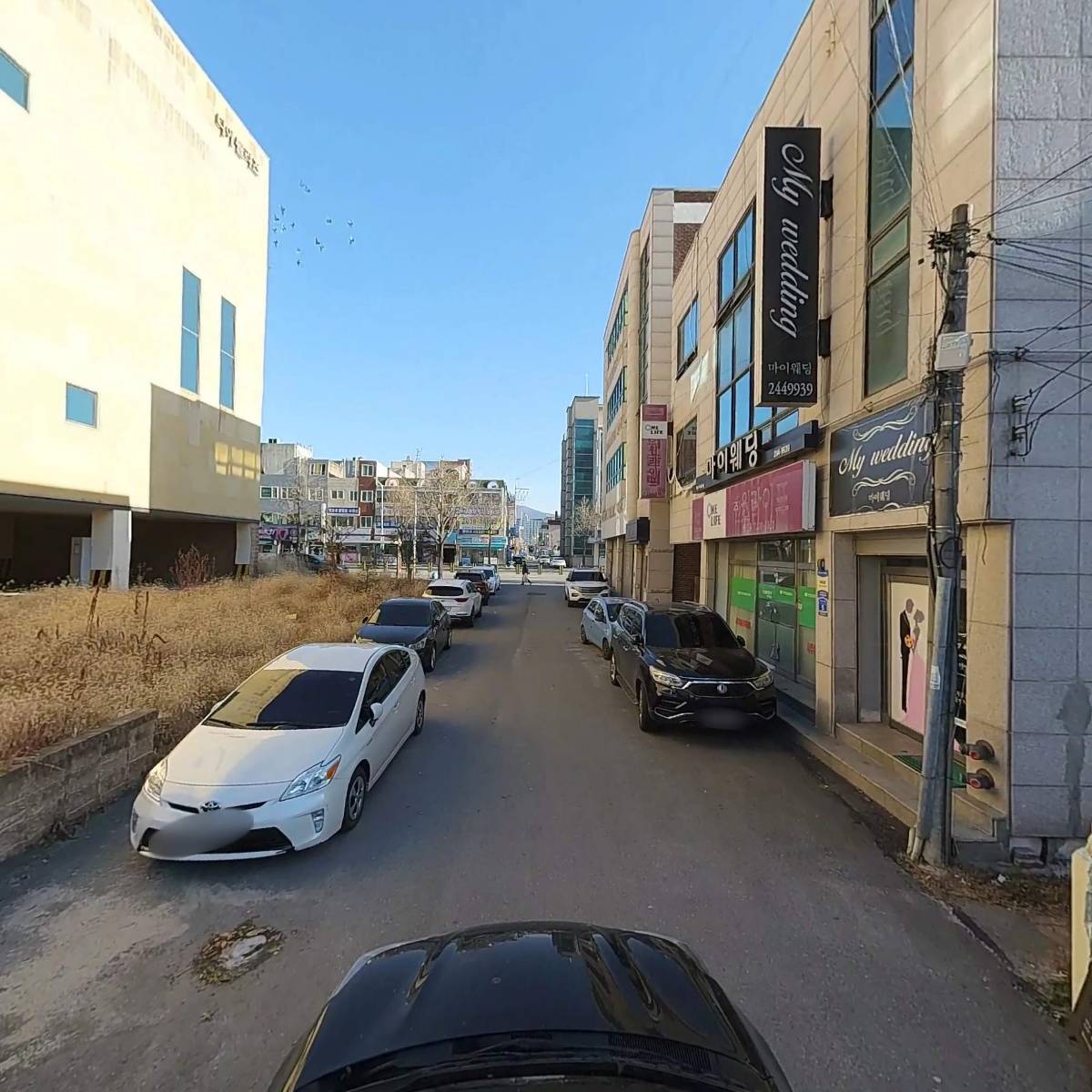 꽃술래_4