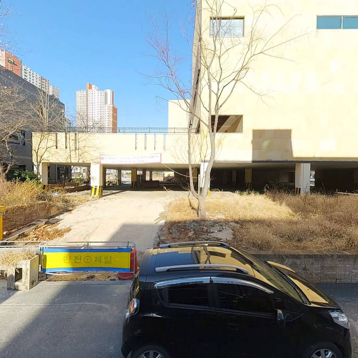 꽃술래_3