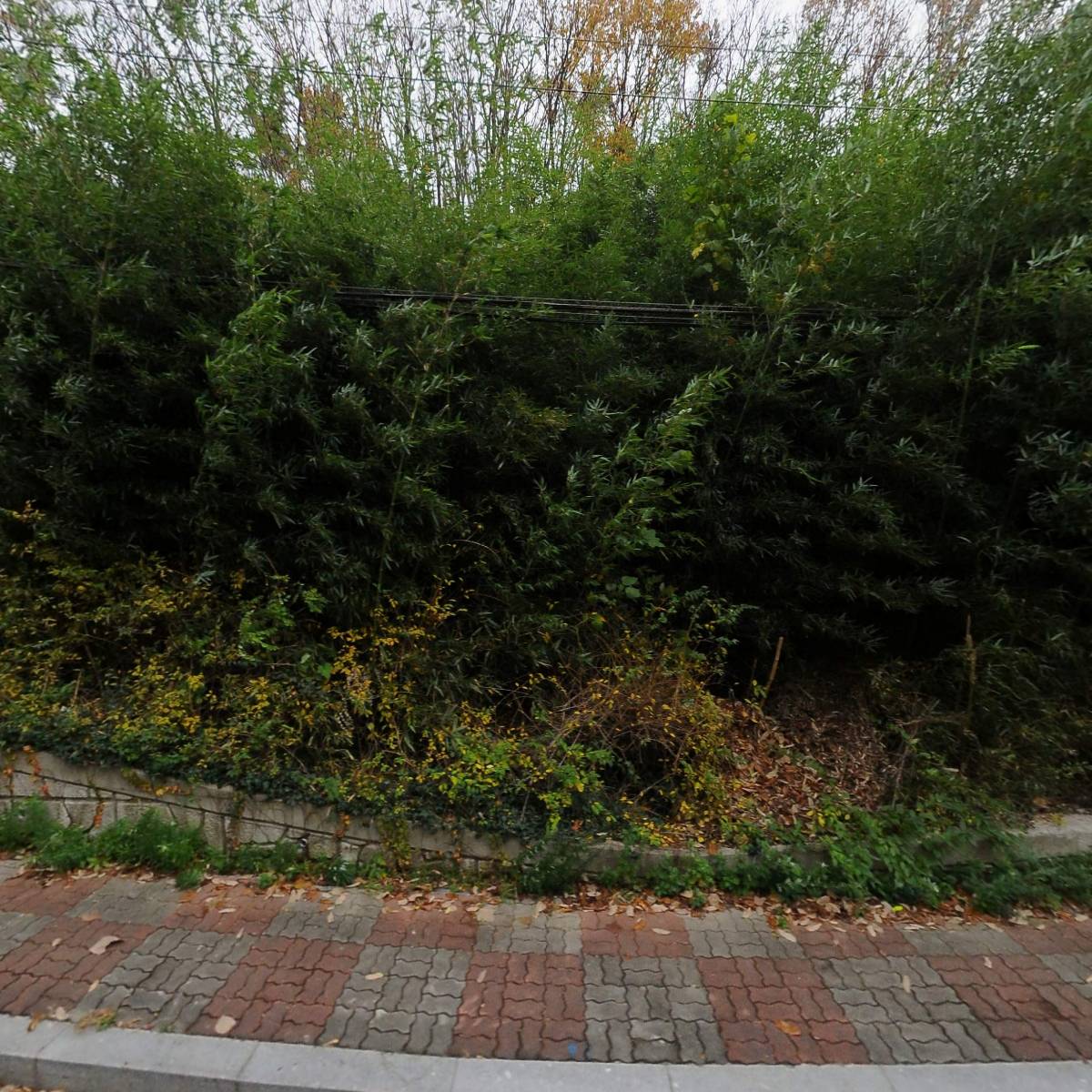 이동아름별어린이집