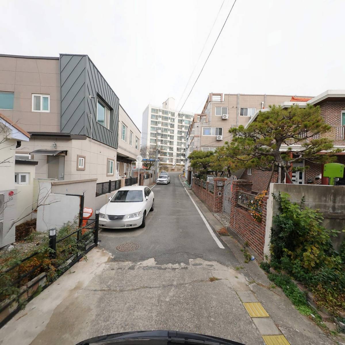 보르딘_2