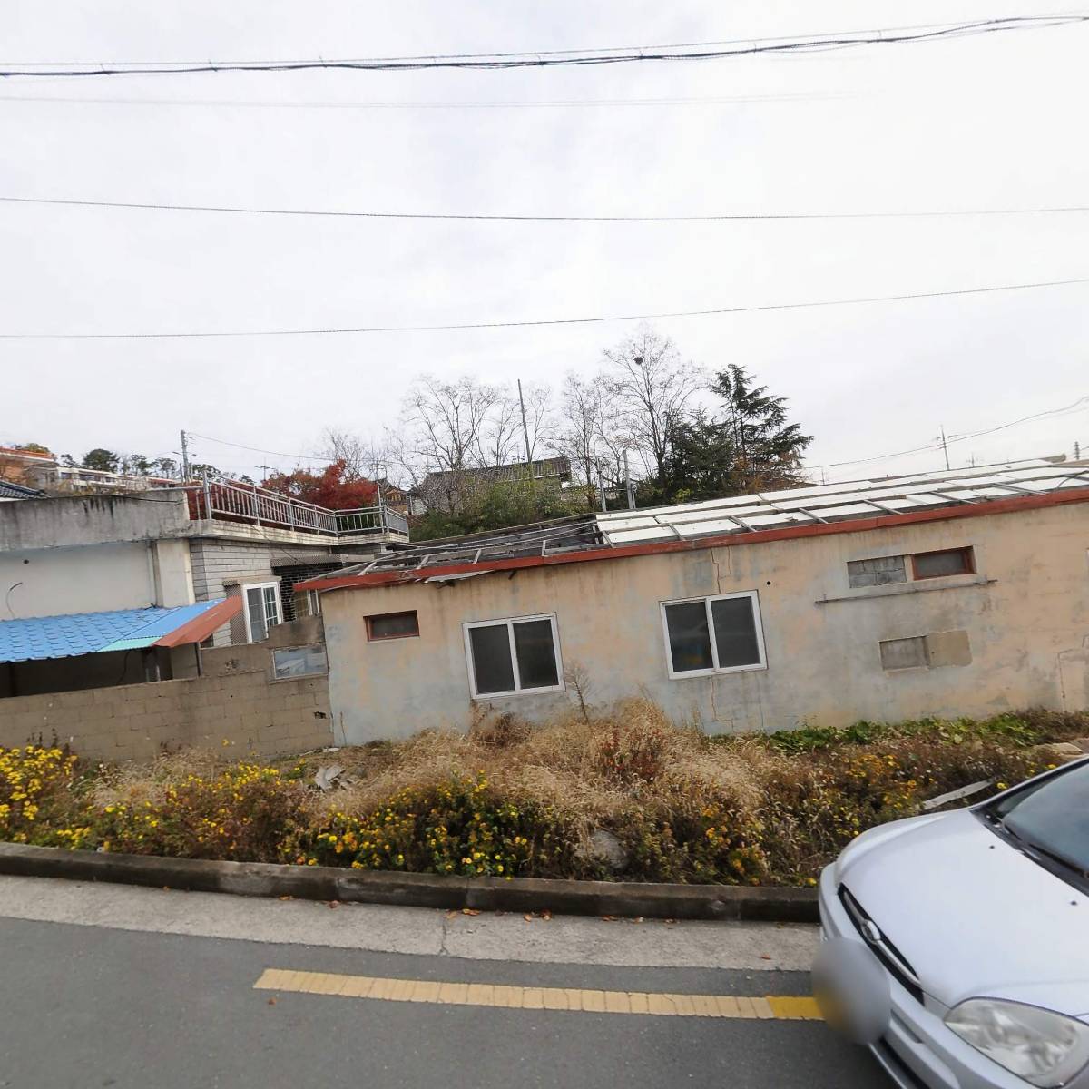 이용범구룡포과메기수산물회