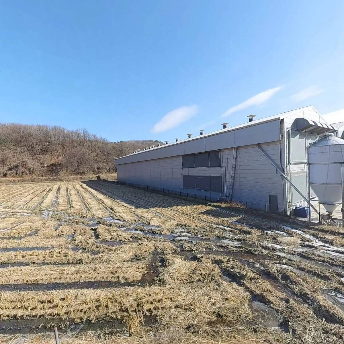 농업회사법인 유한회사 티케이팜(T.K.Farm ltd.)
