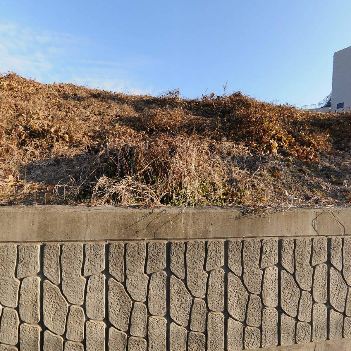 대성부동산 컨설팅_3