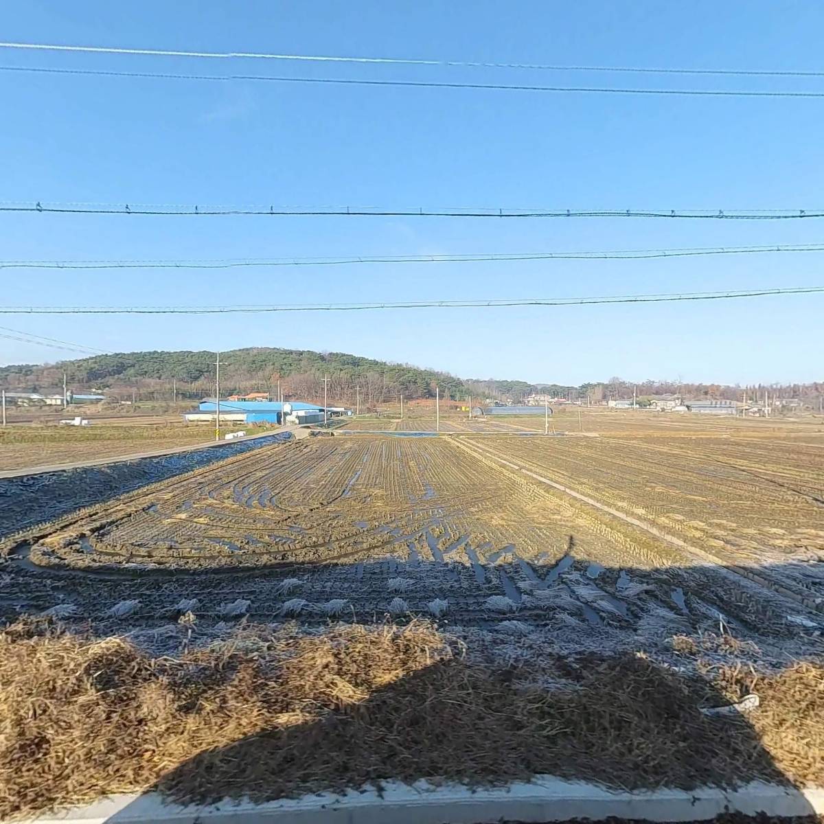 광금 영농조합법인