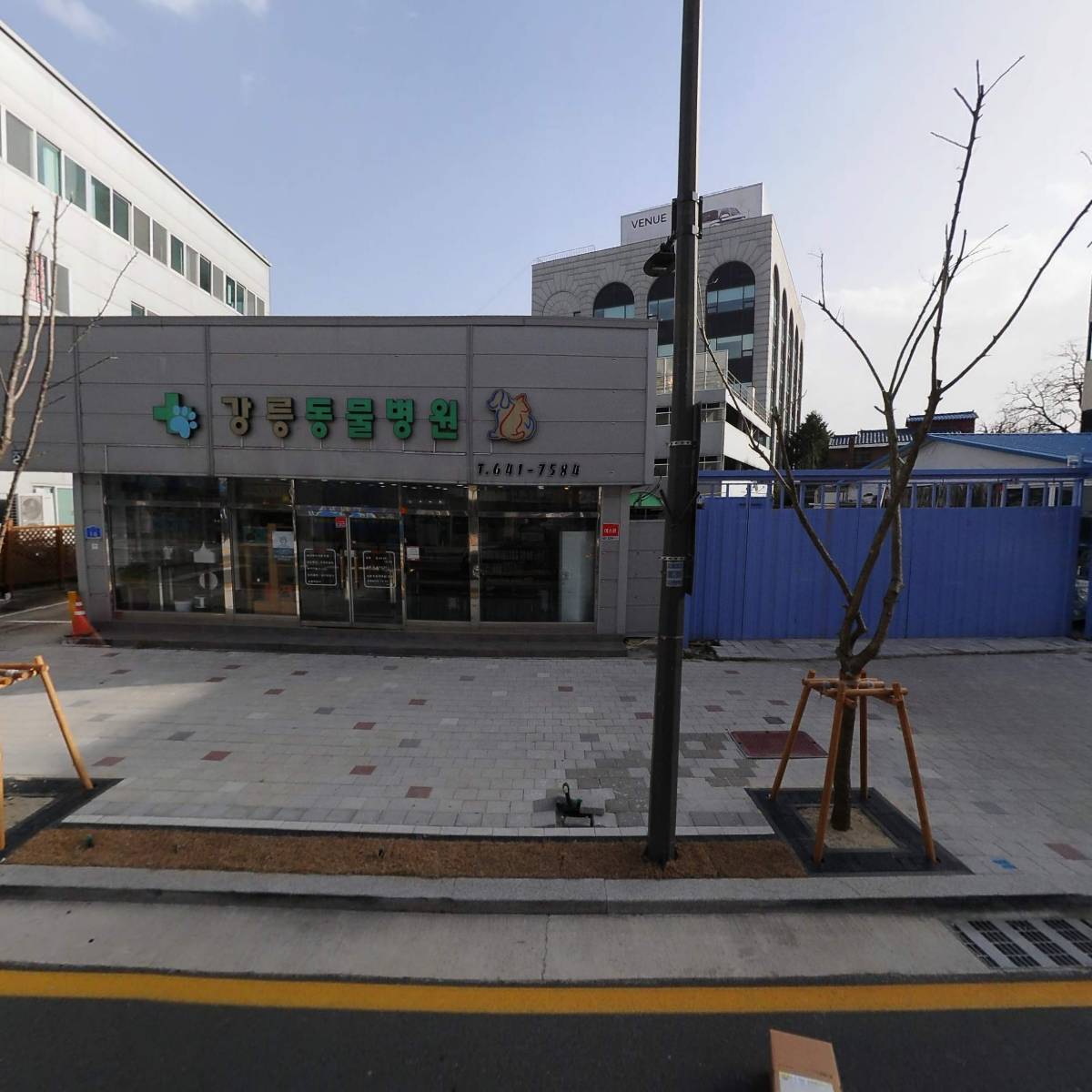 강릉동물병원