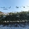 모두모아존