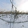 백월산형제농원_3