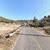 무선산굼벵이_2