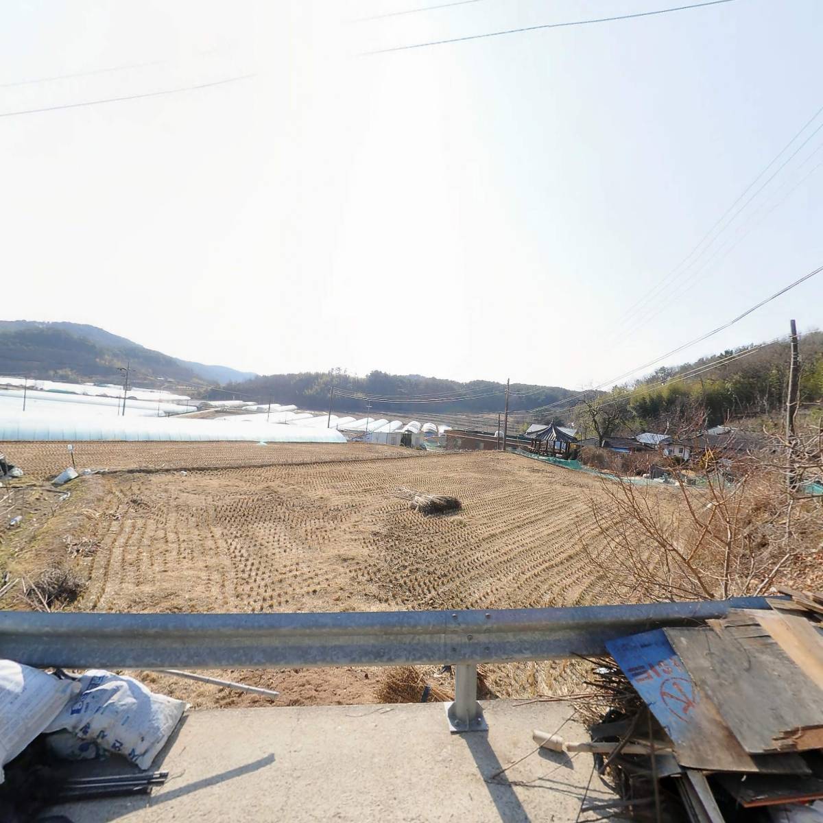 골든팜영농조합법인