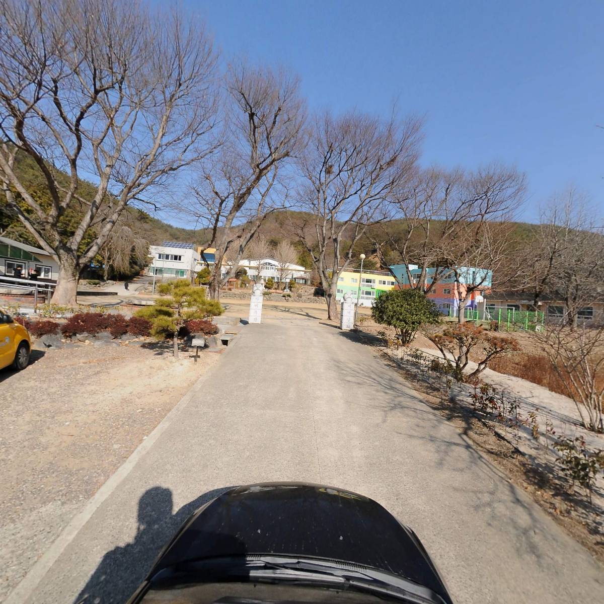 보리수동산_4