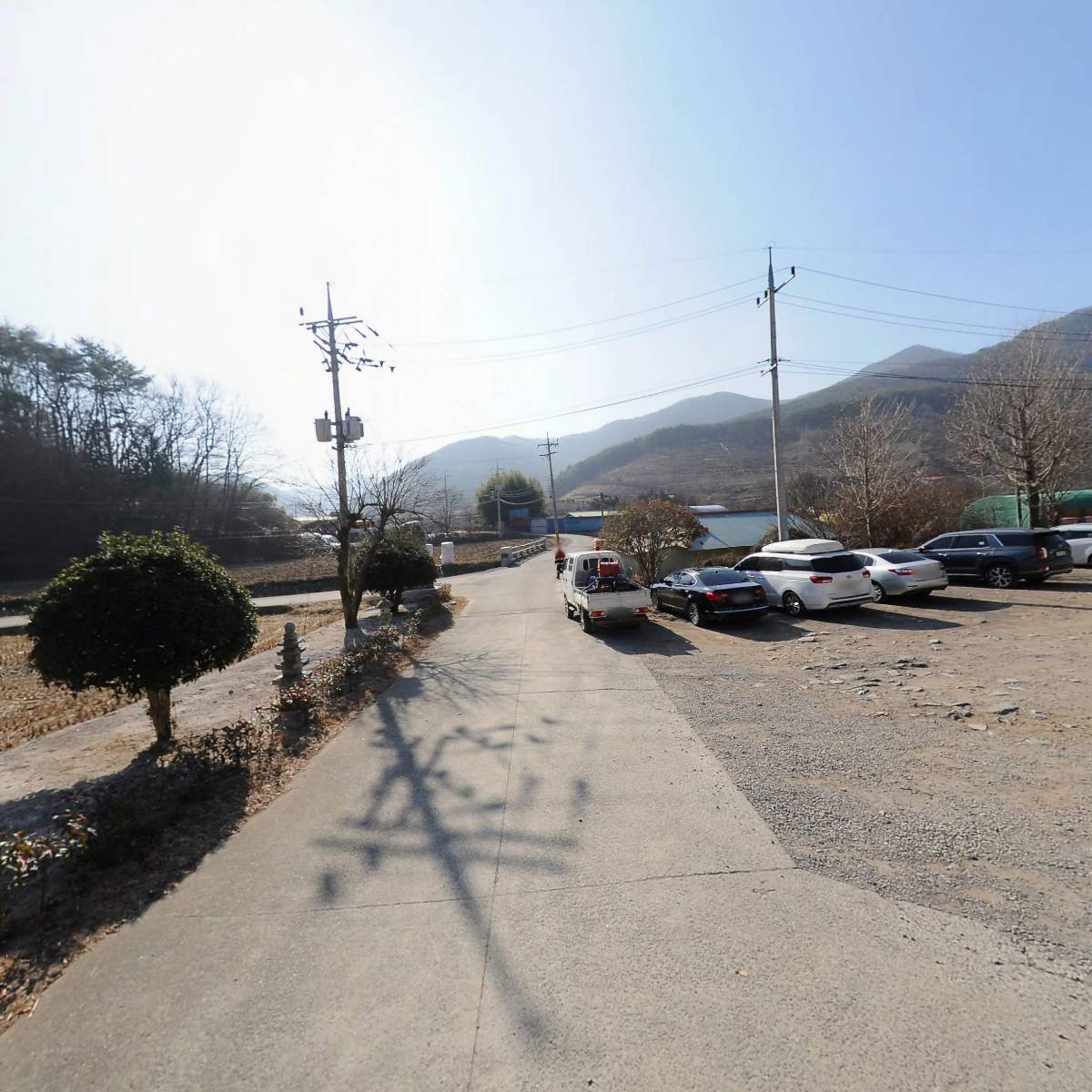 보리수동산_2