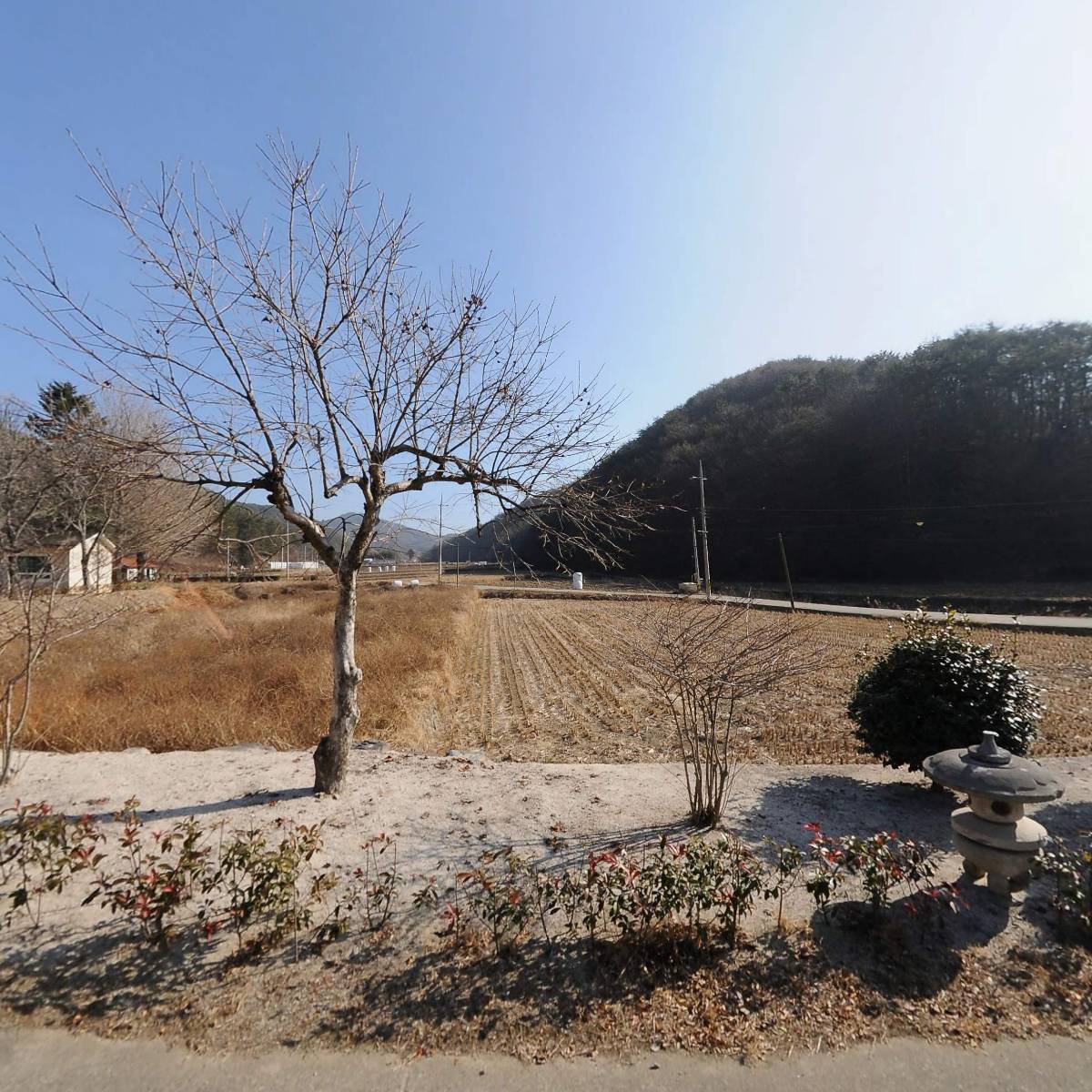 보리수동산